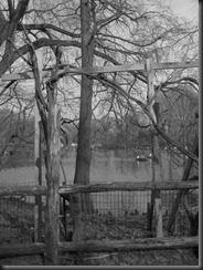 nymarch3 053