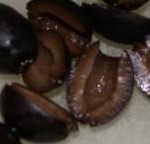 Greek Pasta Salad - olive you more than you know