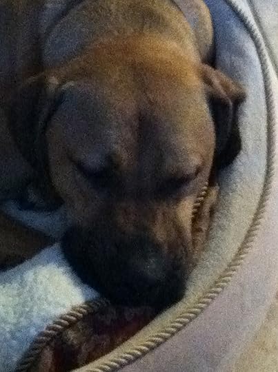 So sweet ... when he's sleeping.