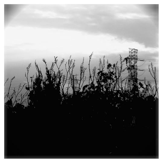 Historia de unas plantas que reclamaban la Tierra.