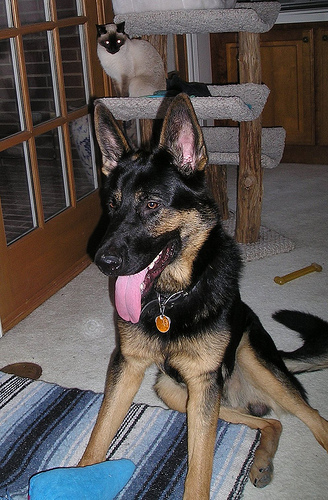 11 month Magic w Seren