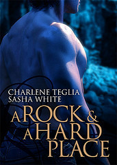 CTSW_ARockandaHardPlace