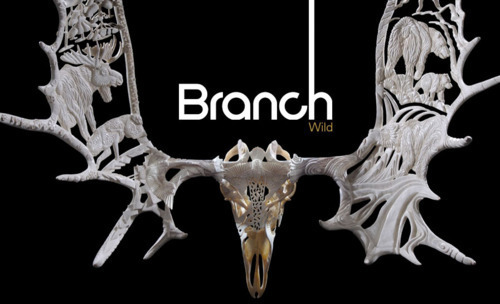 Branch Magazine - Wild