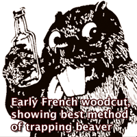The preferred method of trapping beaver
