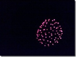 IMG_20110703_213621