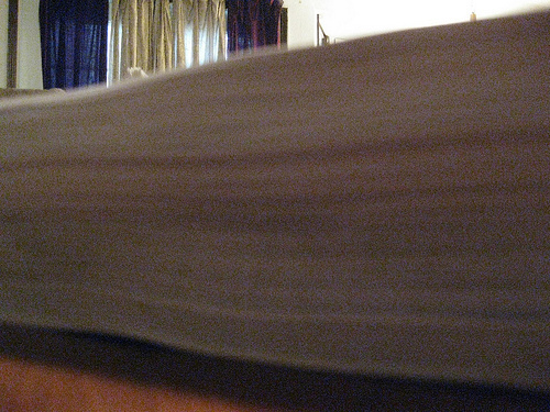 IMG_0116