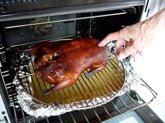 poking duck