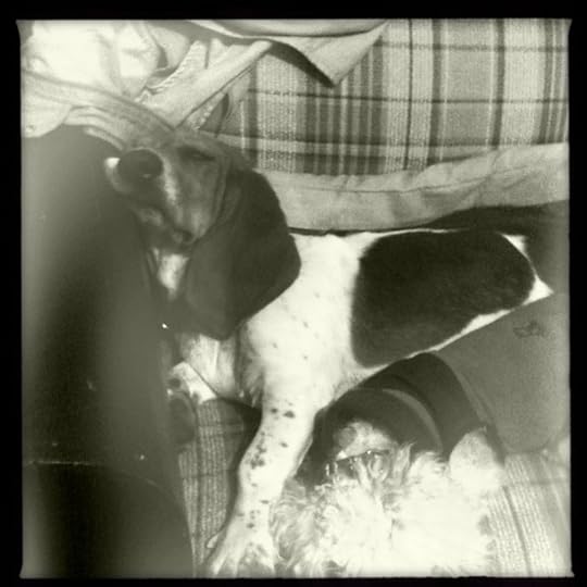 Una de esas raras veces que comparten cama.