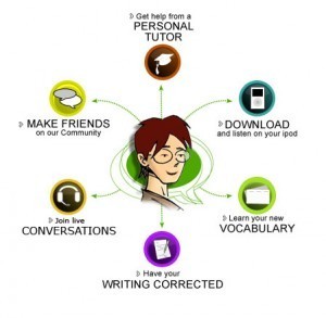 How to learn a language