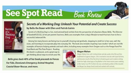 Spot Magazine Review