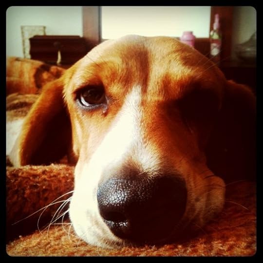 Buenos días, nariz.