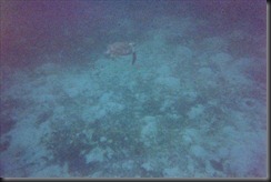 vcm_s_kf_repr_882x588