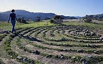qi gong