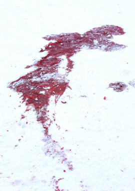 snowblood