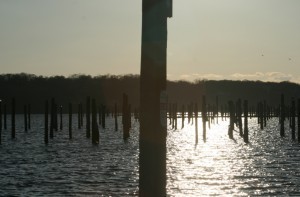 An Empty Marina -- Is This the Future of Boating? -- Photo by Tom Tripp