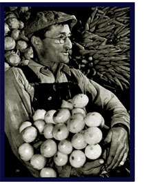 Onion-loving