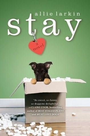 stay by allie larkin