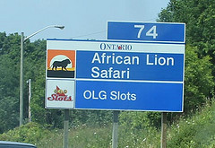 Canadian Safaris