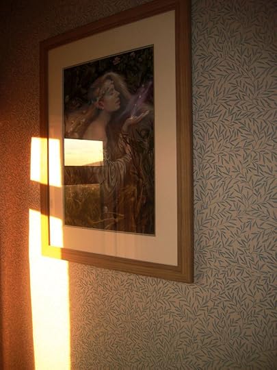 Light 7