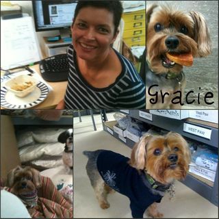 Gracie Collage1