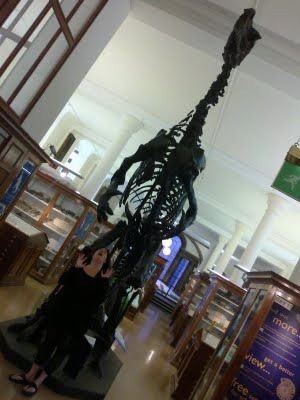 Dinosaur at Sedgwick Museum, Cambridge
