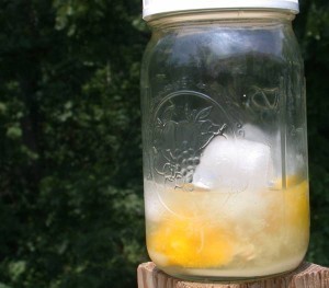 Lemon Shake-Up Recipe