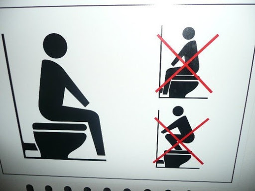 Correct Toliet Usage