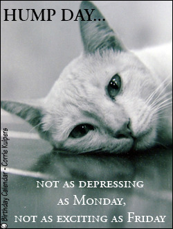 http://www.bigdates.com/images/ecards_main/wednesday_hump_day.jpg