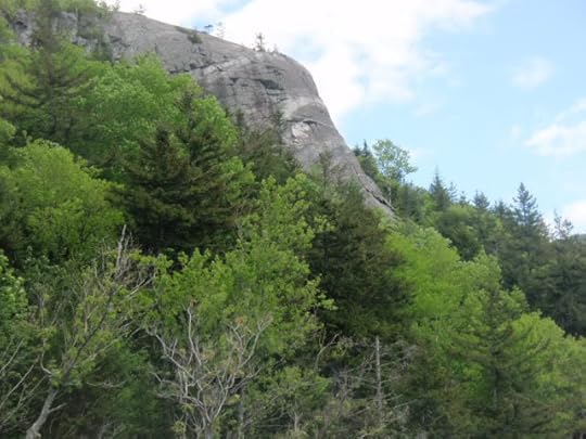 WM_elephants_head.jpg 