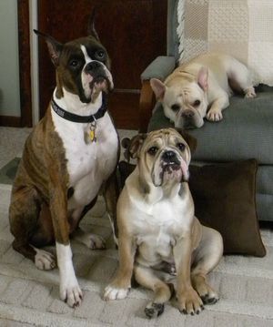 Katandy's Triple Threat