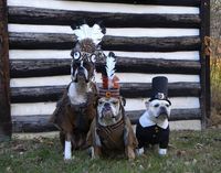 Big Dog Contest Winner