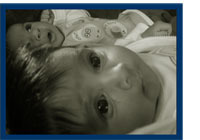 Babies -- cute before harvested