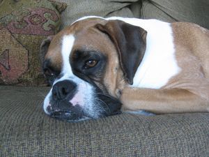 2010.9.10 Bella in Bandon