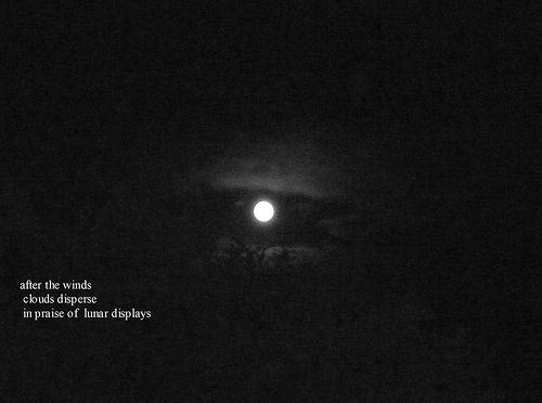 Haiku by Aine MacAodha