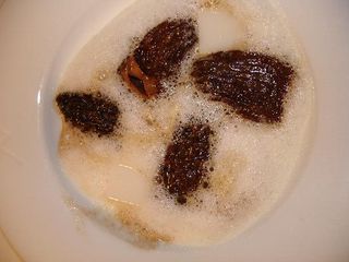 Morels-in-cream-foam