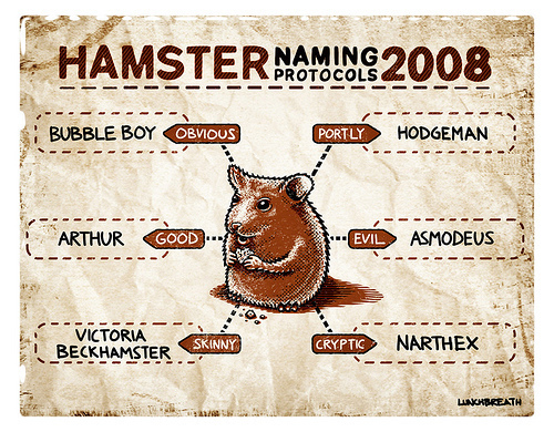 HamsterNamingGuide2009 by lunchbreath