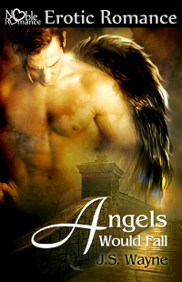 Angels Would Fall