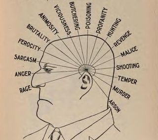 Lizardbrainillo