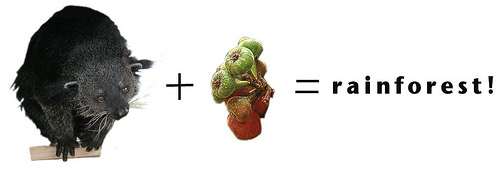 biturong arithmetic