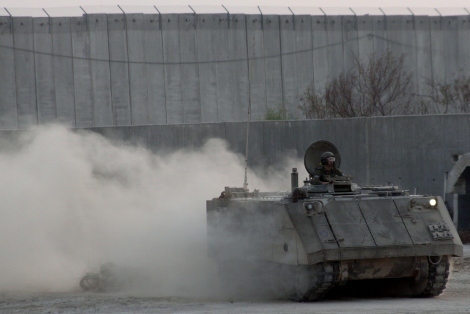Golani 2011 262 (470x314)