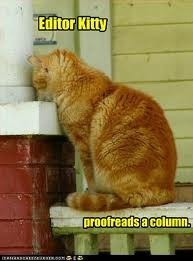 Ftk editorcat 1