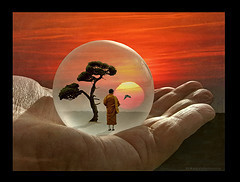 zenball 