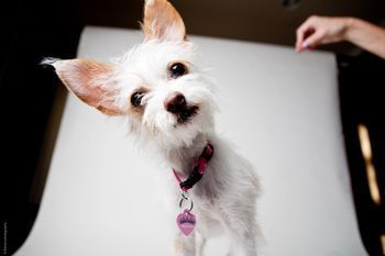 286681_2288836384186_1347263104_32617233_458276_o