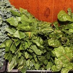 dandelion greens