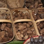 Yuca