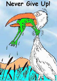 never give up frog The formula for success and life in the way