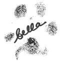 Bella Paw Print2