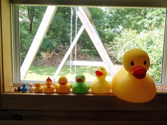 duckies_1.jpg
