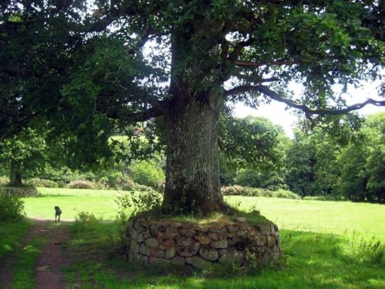 Tree 6