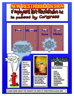 Thumbnail link: Traditional Values Coalition's 'New Restroom Design'